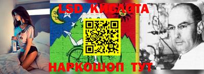 a pvp Краснодар