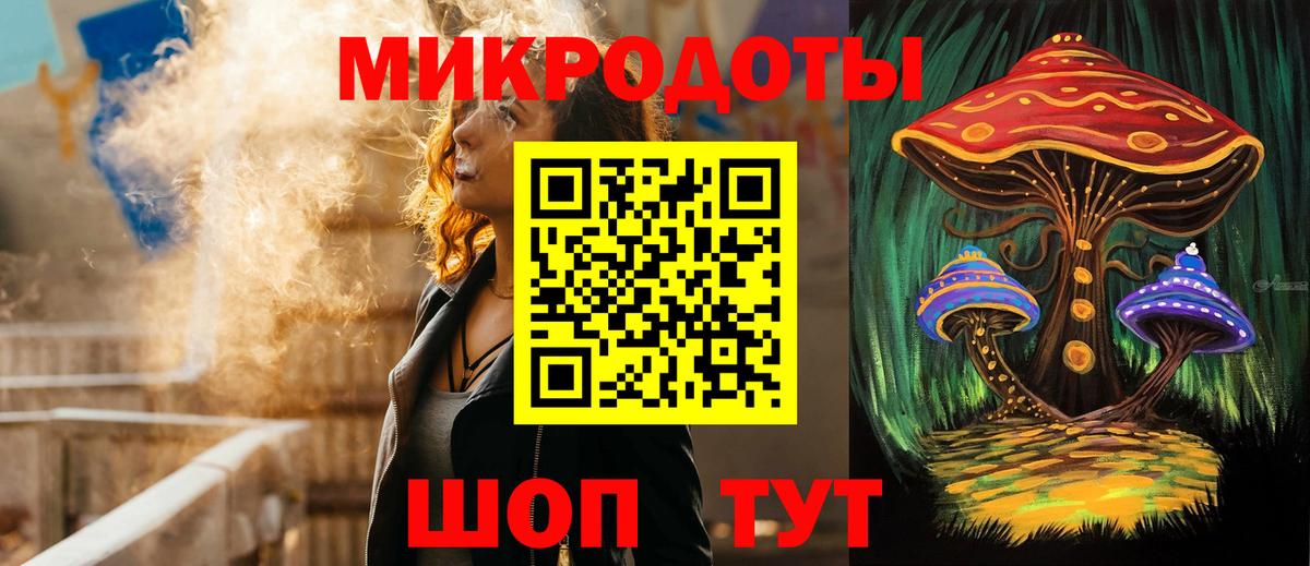Галлюциногенные грибы Psilocybe Вышний Волочёк